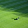 The Benefits of Customizable CRMs for Lawn Care Businesses