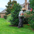 The Profitable World of Lawn Care Businesses