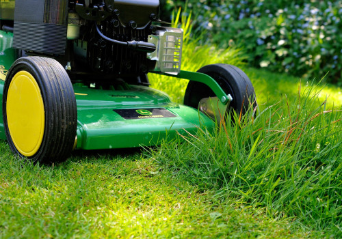 The Importance of Lawn Care and Maintenance for a Beautiful and Healthy Lawn