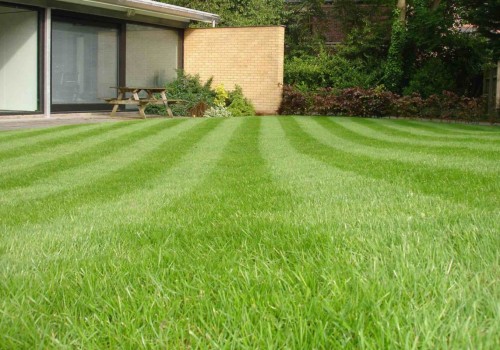 The Truth About the Success Rate of Lawn Care Companies